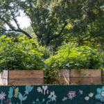 April Community Goals: